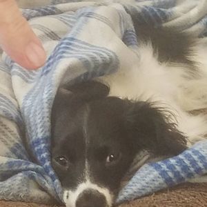 Meet your Posher, Marlene